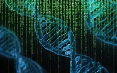 DNA: uno strumento utile per la ricerca sulla biodiversità