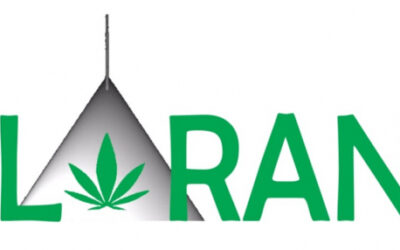 ESILARANTE – ElectroSpray Immobilization of LAccase foR cANnabinoids deTEction
