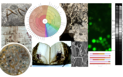 Omics & heritage (workshop): metagenomes and microbiomes for the study of cultural heritage conservation and archaeology