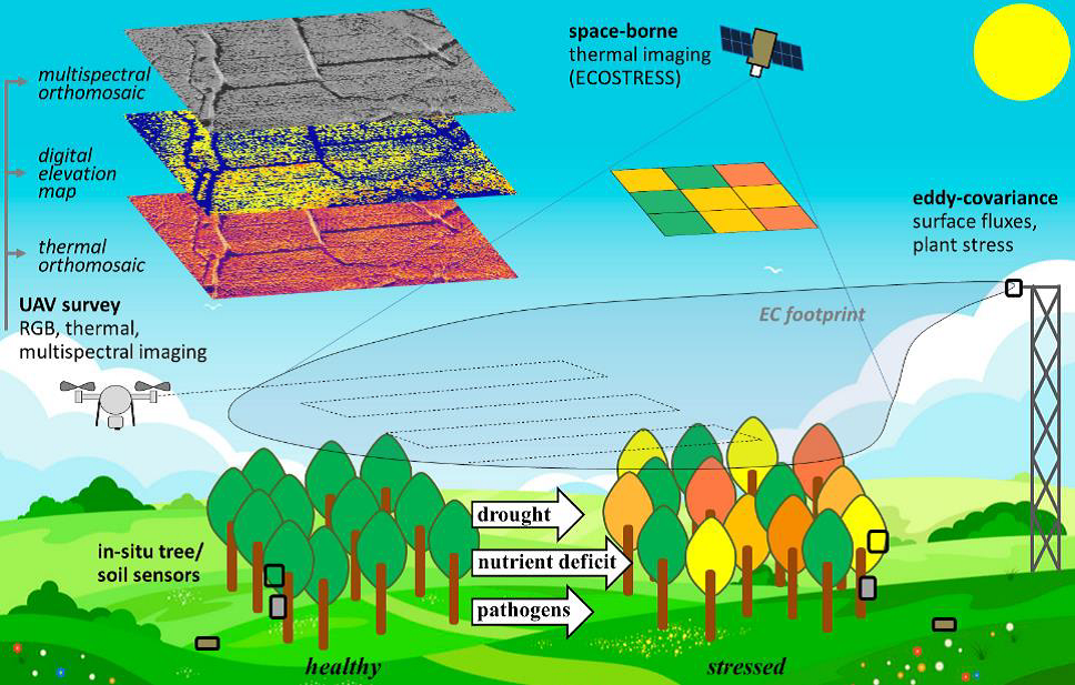 Seminar on the DRONESTRESS: novel approaches to vegetation stress monitoring