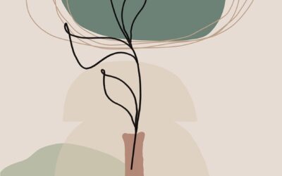 Seminario: “Italian Chad Training and Innovation Initiative: valorisation of Chadian cultural and vegetal biodiversity”