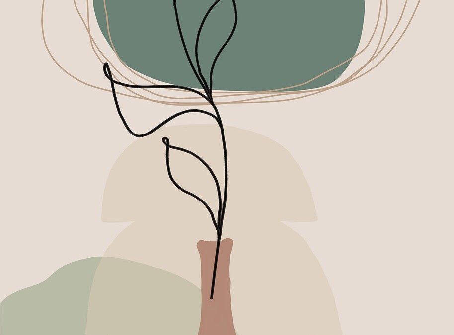 Seminario: “Italian Chad Training and Innovation Initiative: valorisation of Chadian cultural and vegetal biodiversity”