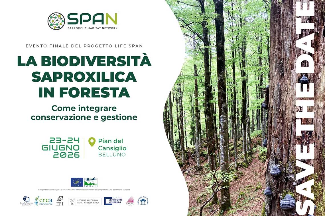 locandina dell'evento